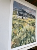 The Bothy