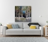 Silver Birch