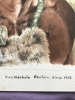 KWA NDEBELE WARRIOR - REUBEN 1903