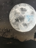 BLUE MOON RISING