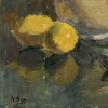 Pink and Yellow - Still Life with lemons