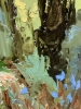 Tuscany : Cypress Pathway