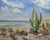 Cactus Coast.