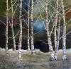 Silver Birch