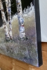 Silver Birch