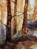 Godolphin Autumn