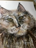 : “Guardian of the Silent Forest” – Original Watercolor Lynx Portrait (A4)