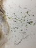 Emerald Gaze” – Original Watercolor Cat Portrait on A4 Paper