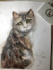 Emerald Gaze” – Original Watercolor Cat Portrait on A4 Paper