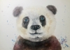 Gentle Eyes of the Panda – Original Watercolor Portrait