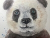 Gentle Eyes of the Panda – Original Watercolor Portrait