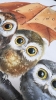 Owl Umbrella Haven