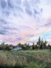 Under the Wide Sky