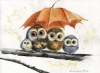 Owl Umbrella Haven