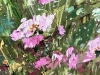 The Emerald Garden