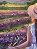 Lavender Fields of Valensole