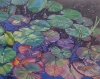 The Green Pond