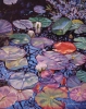 Little Pond Reflections