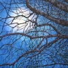 Tree in Moonlight