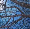 Tree in Moonlight