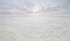 Ocean Dreaming