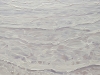 Ocean Dreaming