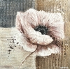 POPPY LOVE