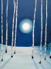 Shadows of the Moon