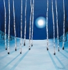 Shadows of the Moon