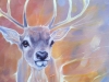 Stag in the Ether