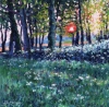 Summer Evening