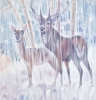 The Winter Monarchs