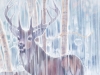 The Winter Monarchs