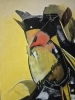 GOLDFINCH