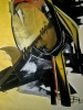 GOLDFINCH