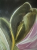 BUDS II