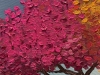 Tree Of Vibrancy