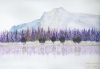 Trees in the Foothills