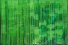 Veiled in Green