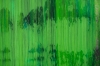 Veiled in Green