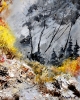 Autumn colors