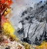 Autumn colors