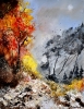 Autumn colors