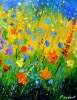 summer meadow 