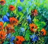 Red poppies 44
