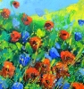 Red poppies 44