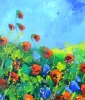 Red poppies 44