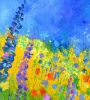 summer meadow 