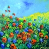 Red poppies 44