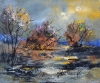 Moonshine on the water